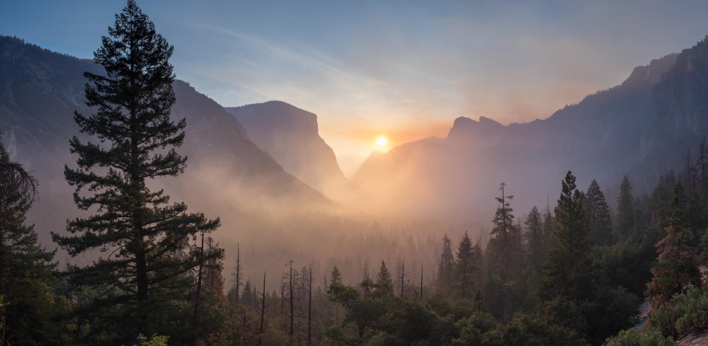 Excursion d'une Journée à Yosemite : Créer Votre Aventure Idéale !